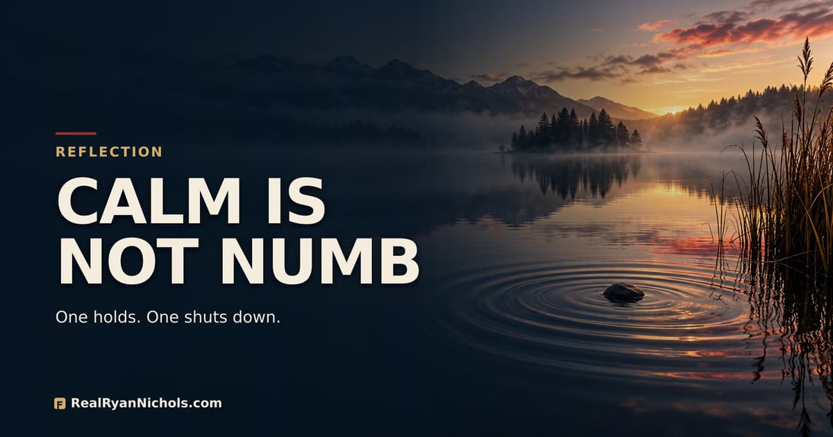 Calm and Numb Are Not the Same Thing social preview