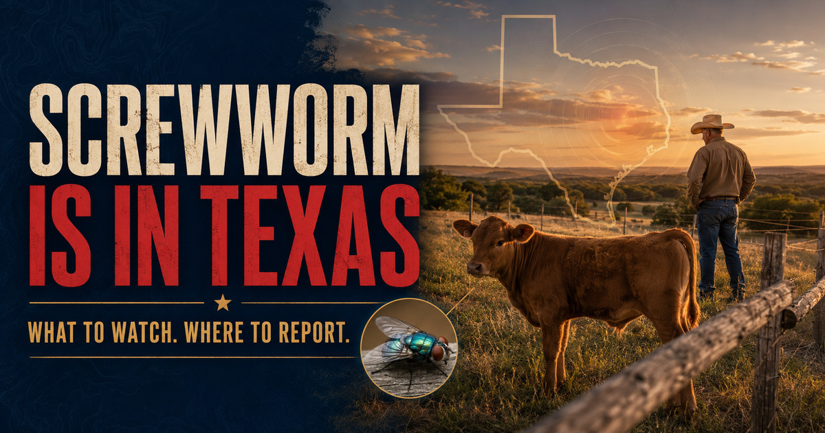 New World Screwworm Is in Texas: What Livestock Owners, Hunters and Pet Travelers Need to Do Now social preview
